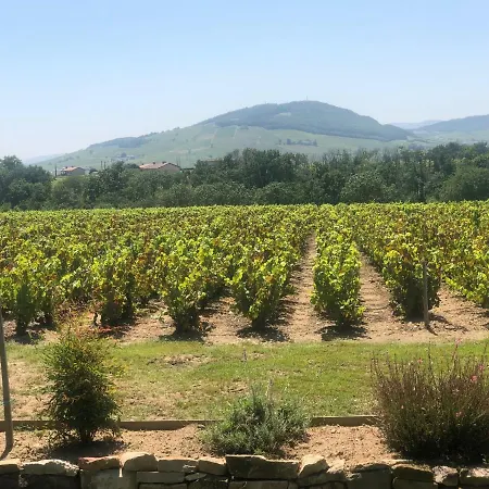 Bed & Breakfast La Gatille Villie-Morgon